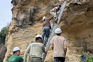 Fotografía de una de las sesiones de trabajo