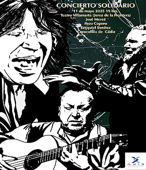 Concierto Solidario