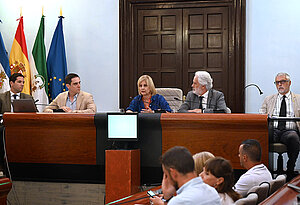 Archivo. Pleno aprobación inversiones