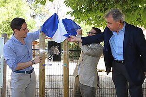 Los tenientes de alcaldesa durante el acto de apadrinamiento