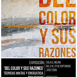 Del color y sus razones