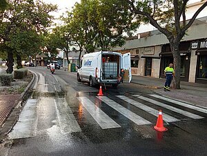 El Ayuntamiento está limpiando los pasos de peatones de las flores de jacaranda