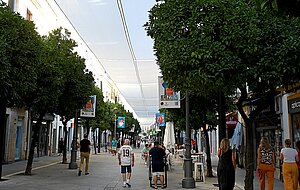 Comercio y Consumo quiere reconocer a los establecimientos con más de 50 años