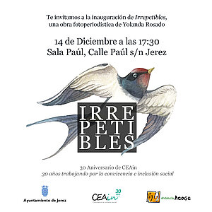 Exposición Irrepetibles