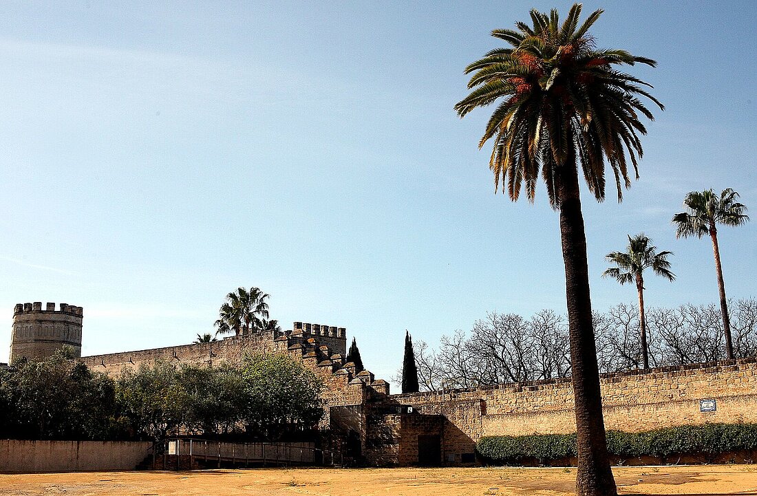 Patio de San Fernando