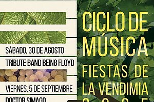 Cartel del ciclo 'Versión en rama'
