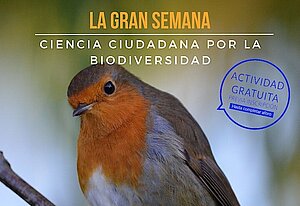 Aviturismo en Jerez