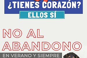 Cartel de la Campaña No me Abandones