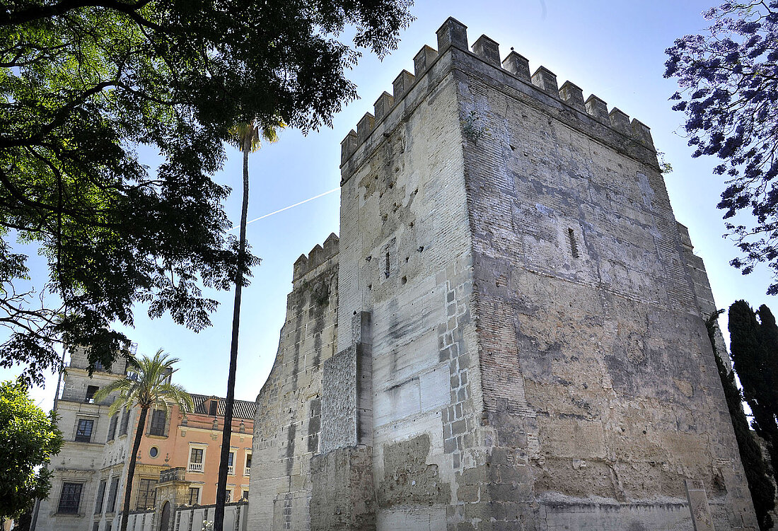 Vista del Alcázar de Jerez