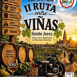 Ruta entre viñas