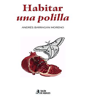 Habitar una polilla