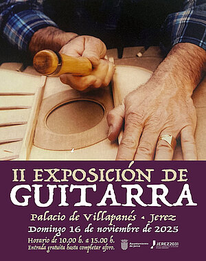 Muestra de Guitarra
