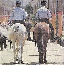 Escuadrón Policía Local Jerez