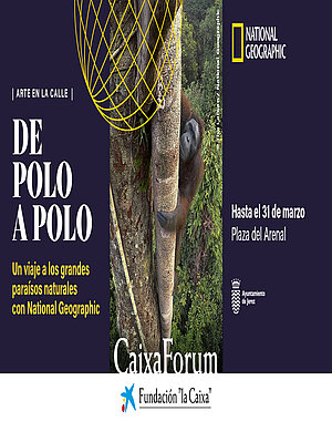 De Polo a polo