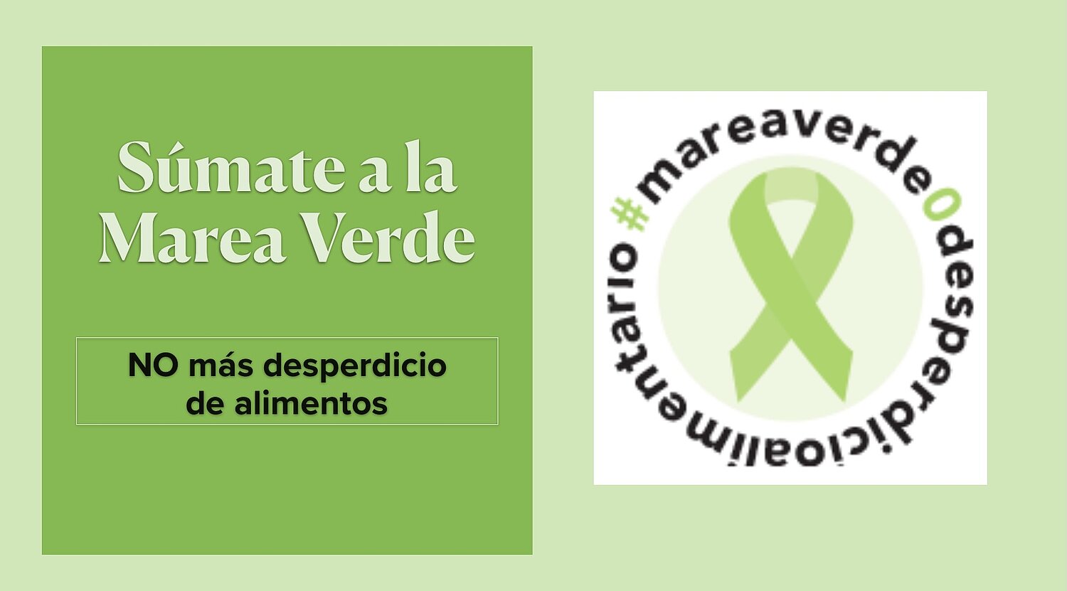 No desperdicios de alimentos