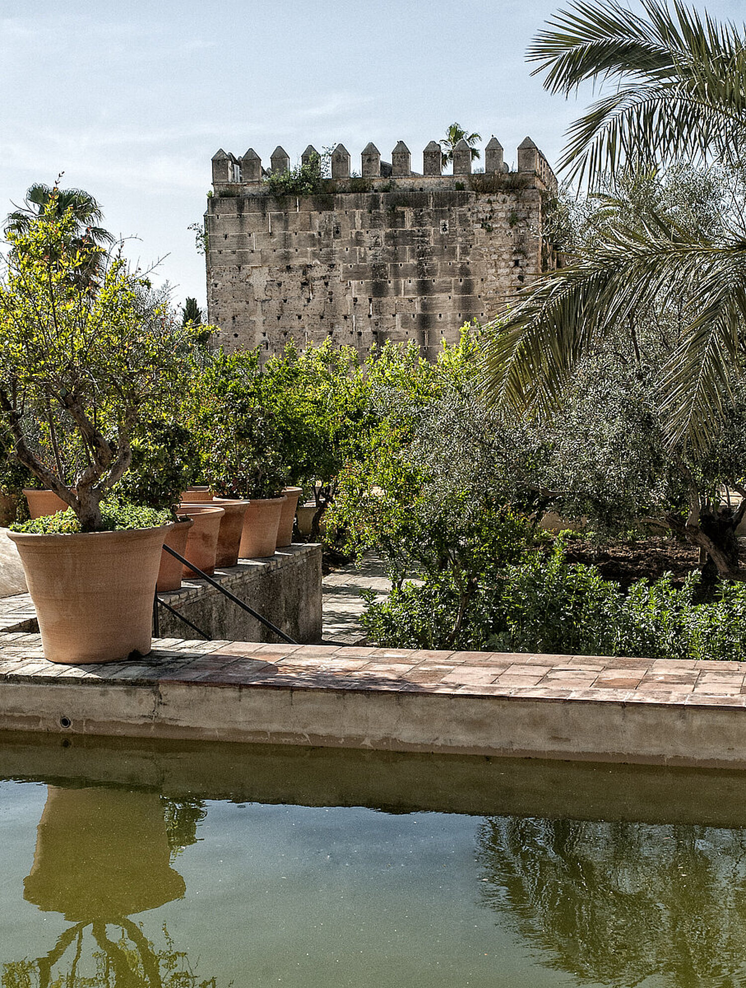 Torre del Homenaje desde los jardines del Alcázar. Foto cedida por Juan Sánchez Ortega - Sortega Fotografía
