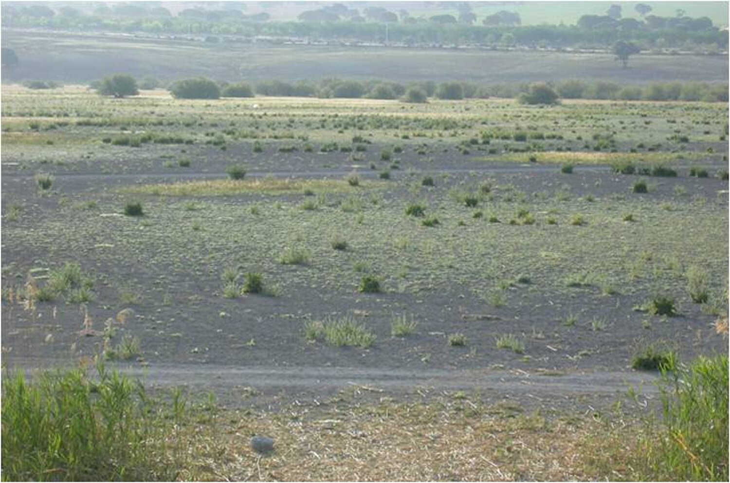 Imagen de la Laguna de los Tollos 2