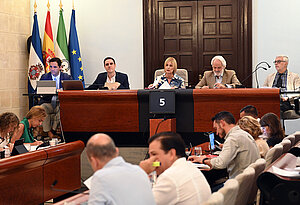 El Pleno aprueba modificación del PGOU