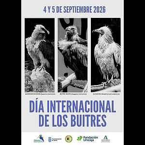 Cartel del Día Internacional de los Buitres