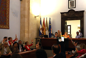 Pleno Extraordinario