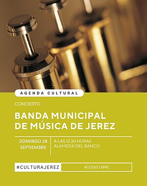 Concierto Banda de Música