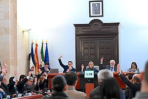 El Pleno respalda una Declaración de apoyo a Majorel