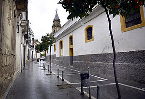 Calle Barja