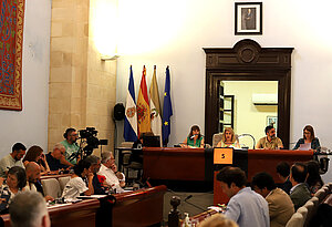 Pleno Julio