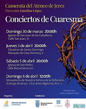 Concierto camerata ateneo