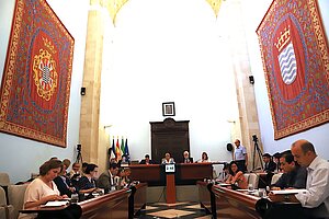 Fotografía del Pleno
