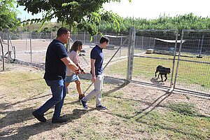 Han aumentado las adopciones en el Centro de Protección Animal