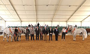 Entregados los Premios del Concurso Morfológico