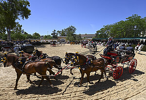 Feria de Jerez 2024, balance muy positivo