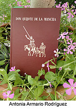 fotos quijote