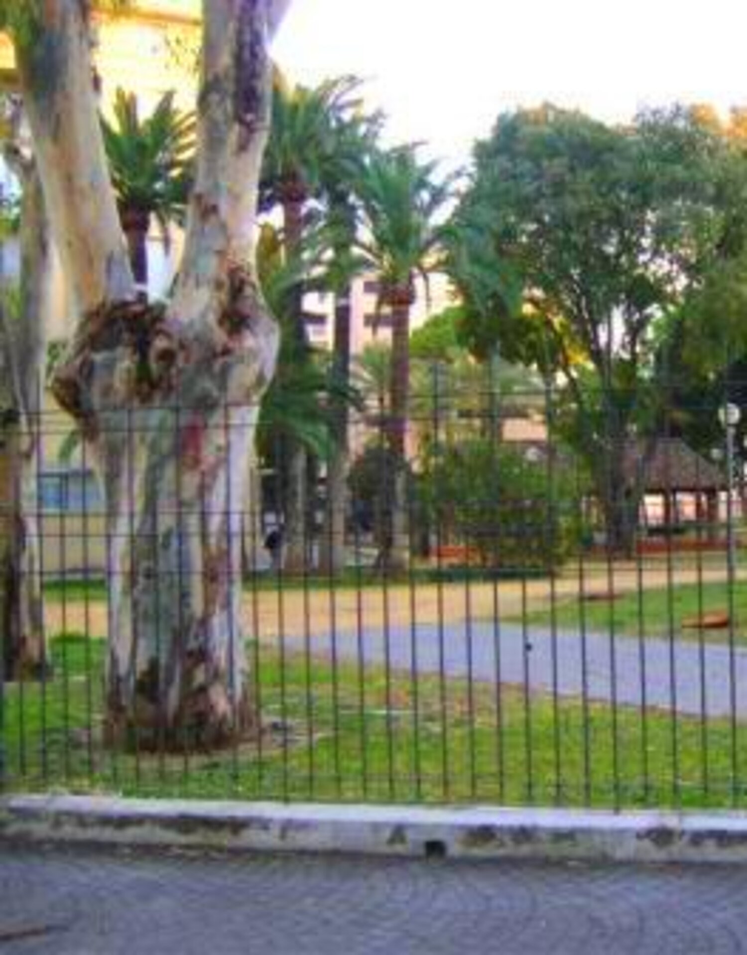 Imagen del Parque