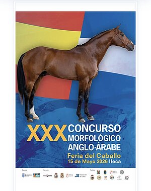 XXX Concurso Anglo Árabe