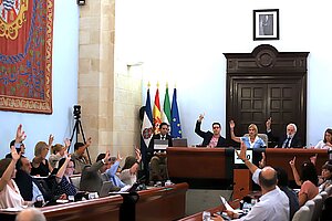 Fotografía del pleno de hoy