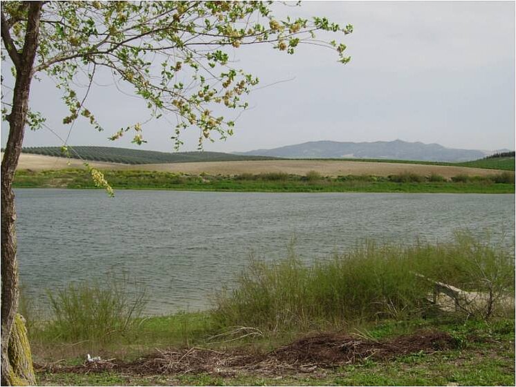 Laguna de Jarilla - Jarreta