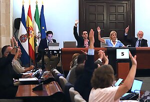 Fotografía durante el pleno de hoy