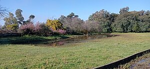 El Ayuntamiento inicia un estudio sobre el Parque Periurbano de Santa Teresa