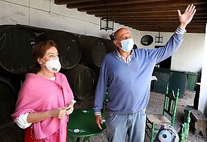 Turismo bodegas de Jerez