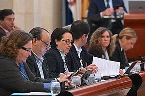 El Pleno reafirma su compromiso con el cumplimiento de la ZGAT