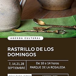 Rastrillo Septiembre