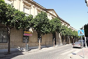 La Junta de Gobierno Local aprueba la creación de un comedor en el CEIP Miguel de Cervnates