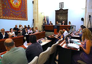El Pleno se se adhiere a la Declaración Institucional de apoyo a Granada como Capital Europea de la Cultura 2031