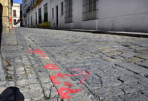 calle Chapinería