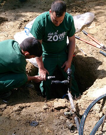 Imagen5
