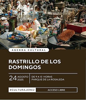Rastrillo Domingo 24