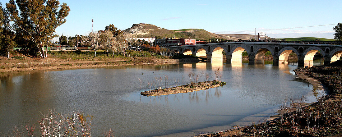 Puente Cartuja Guadalete