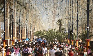 El Ayuntamiento facilita la movilidad hasta la Feria de la zona rural